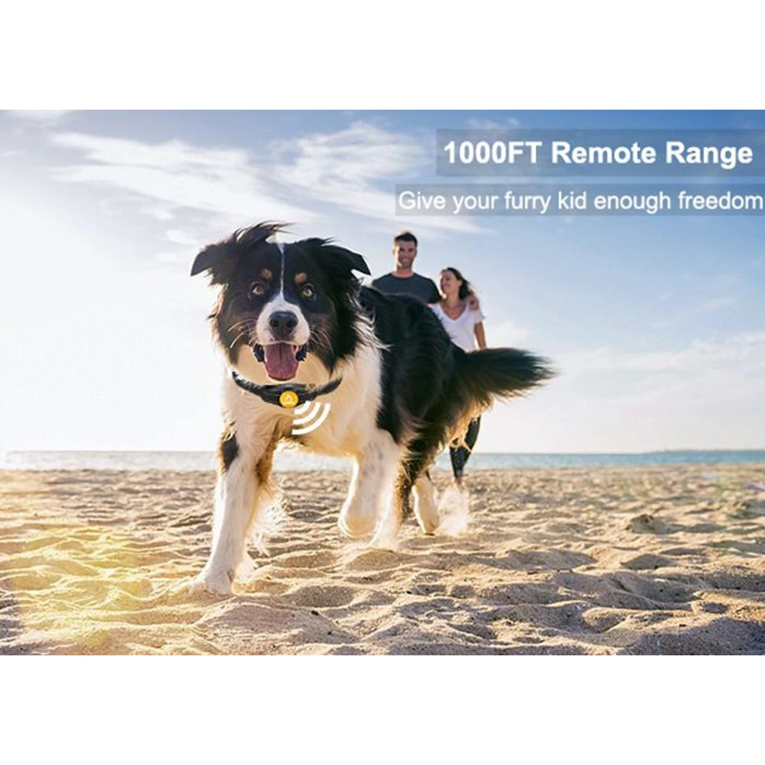 PATPET P320 1000ft Remote Dog Training Shock ECollar 3 PATPET P320 1000ft Remote Dog Training Shock ECollar - Image 3