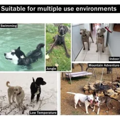 PATPET P320 1000ft Remote Dog Training Shock ECollar 13 PATPET P320 1000ft Remote Dog Training Shock ECollar -Pawsphoria Sales Store 218467 PT5. AC SS1800 V1614007993