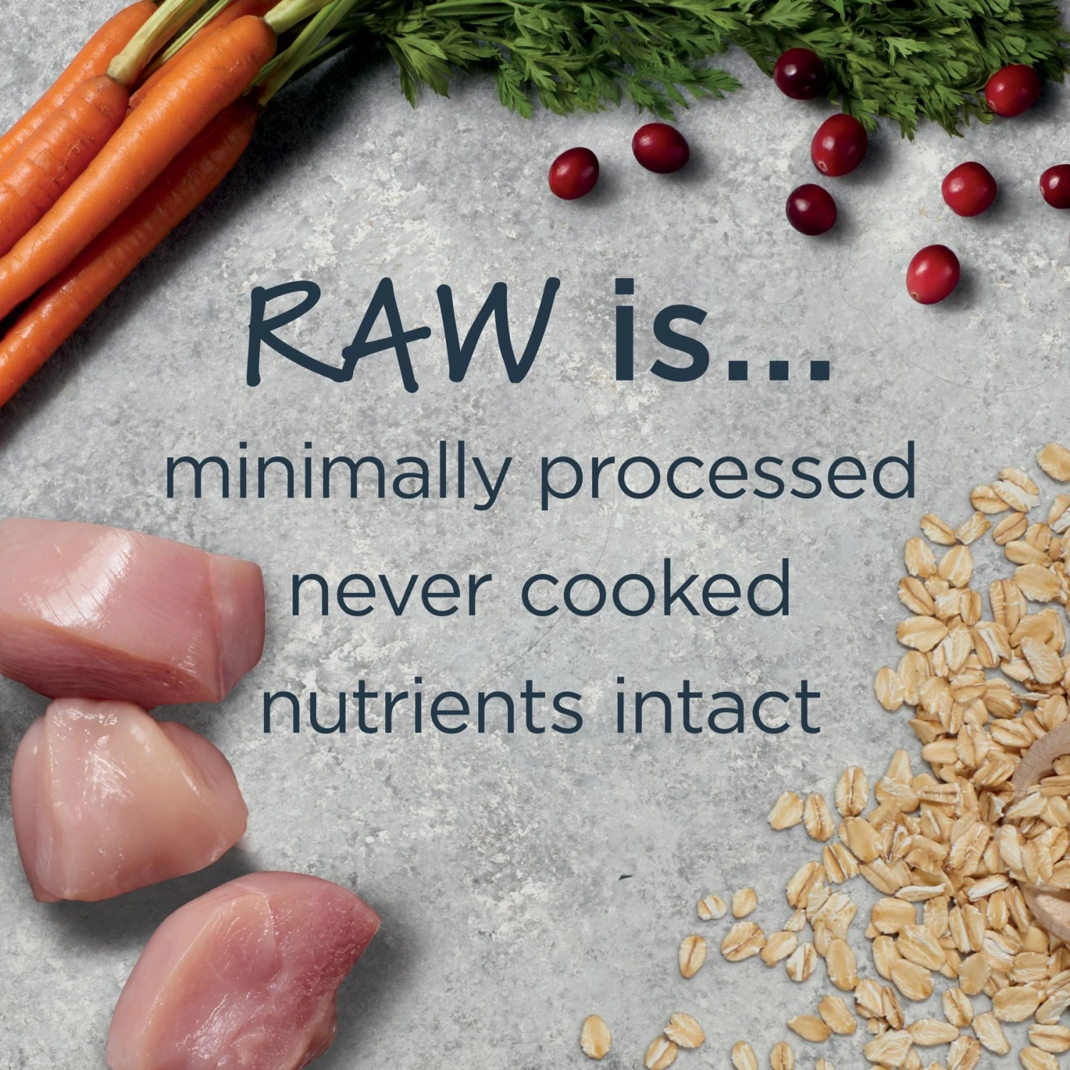 Instinct Raw Boost Puppy Whole Grain Real Chicken & Brown Rice Recipe Freeze-Dried Raw Coated Dry Dog Food 4 Instinct Raw Boost Puppy Whole Grain Real Chicken & Brown Rice Recipe Freeze-Dried Raw Coated Dry Dog Food - Image 4