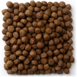 Mazuri Exotic Canine Food, 33-lb Bag -Pawsphoria Sales Store 222229 PT2. AC SS1800 V1602023762