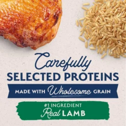 Natural Balance Limited Ingredient Lamb & Brown Rice Puppy Recipe Dry Dog Food -Pawsphoria Sales Store 222285 PT2. AC SS1800 V1677017717