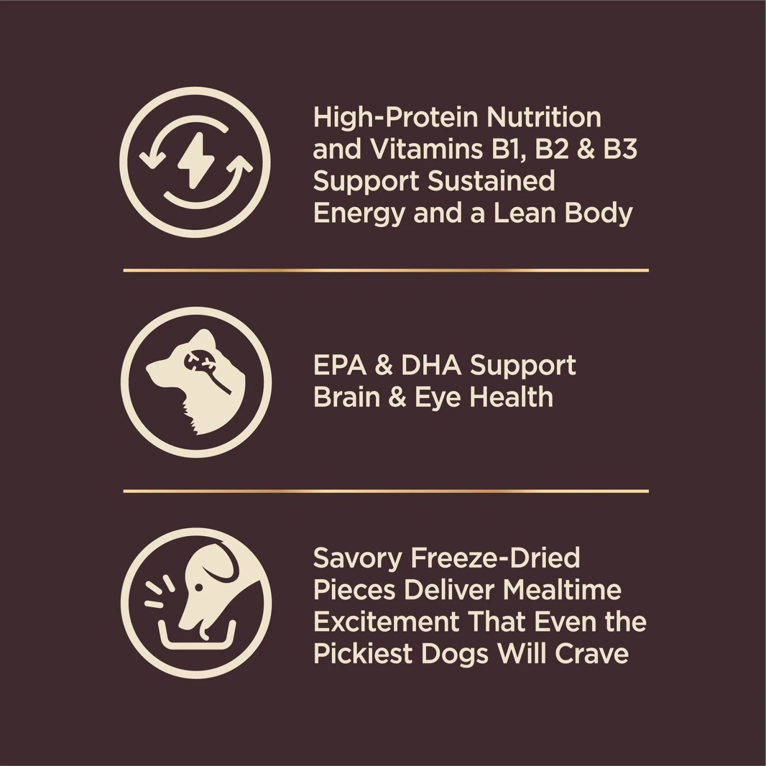 Wellness CORE RawRev Wholesome Grains Puppy Recipe High Protein Dry Dog Food 4 Wellness CORE RawRev Wholesome Grains Puppy Recipe High Protein Dry Dog Food - Image 4