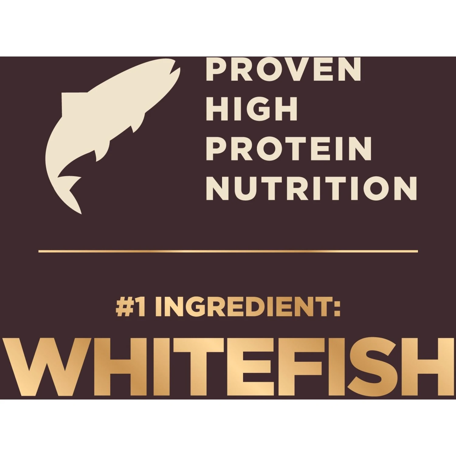 Wellness CORE RawRev Wholesome Grains Ocean Recipe High Protein Dry Dog Food 6 Wellness CORE RawRev Wholesome Grains Ocean Recipe High Protein Dry Dog Food - Image 6