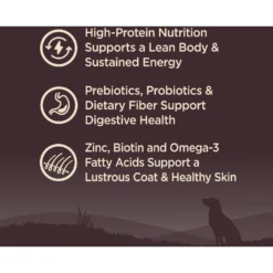 Wellness CORE Wholesome Grains Ocean Recipe High Protein Dry Dog Food -Pawsphoria Sales Store 222320 PT2. AC SS1800 V1677612892