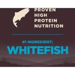 Wellness CORE Wholesome Grains Ocean Recipe High Protein Dry Dog Food -Pawsphoria Sales Store 222320 PT4. AC SS1800 V1660152232