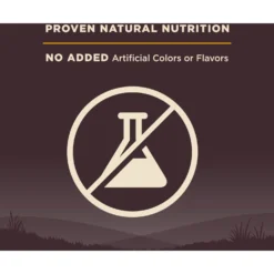 Wellness CORE Wholesome Grains Puppy High Protein Dry Dog Food -Pawsphoria Sales Store 222326 PT5. AC SS1800 V1585144308