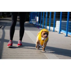 Pet Krewe Big Bird Dog & Cat Costume -Pawsphoria Sales Store 223177 pt3. AC SS1800 V1583163476