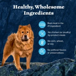 Blue Buffalo Wilderness Trail Toppers Wild Cuts Variety Pack Chunky Chicken & Beef Bites In Gravy Grain-Free Dog Food Topper, 3-oz, Pouch Of 12 -Pawsphoria Sales Store 228599 PT5. AC SS1800 V1689357640