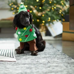 Frisco Front Walking Christmas Tree Dog & Cat Costume -Pawsphoria Sales Store 229164 PT7. AC SS1800 V1601385981