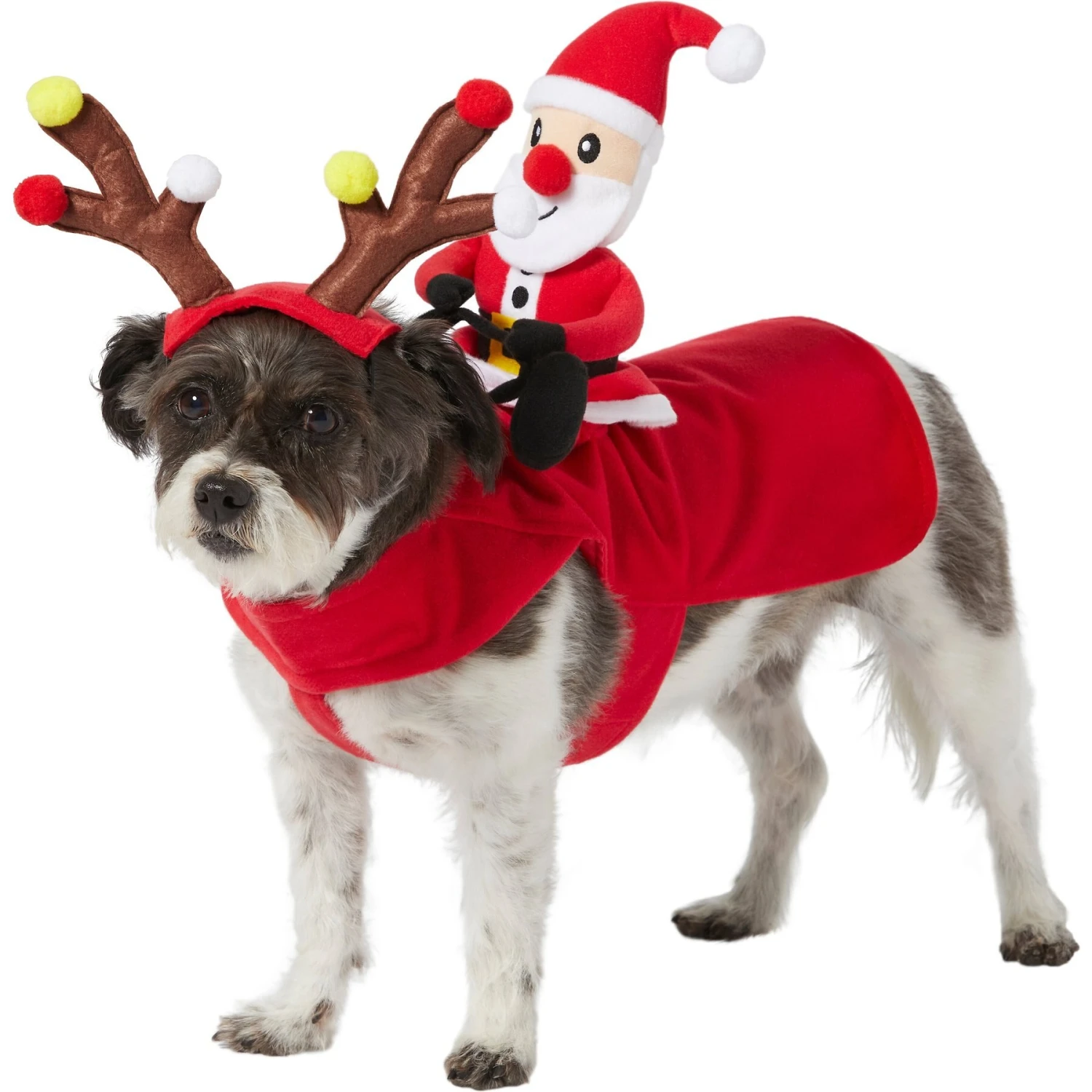 Frisco Santa Rider Dog & Cat Costume 1 Frisco Santa Rider Dog & Cat Costume