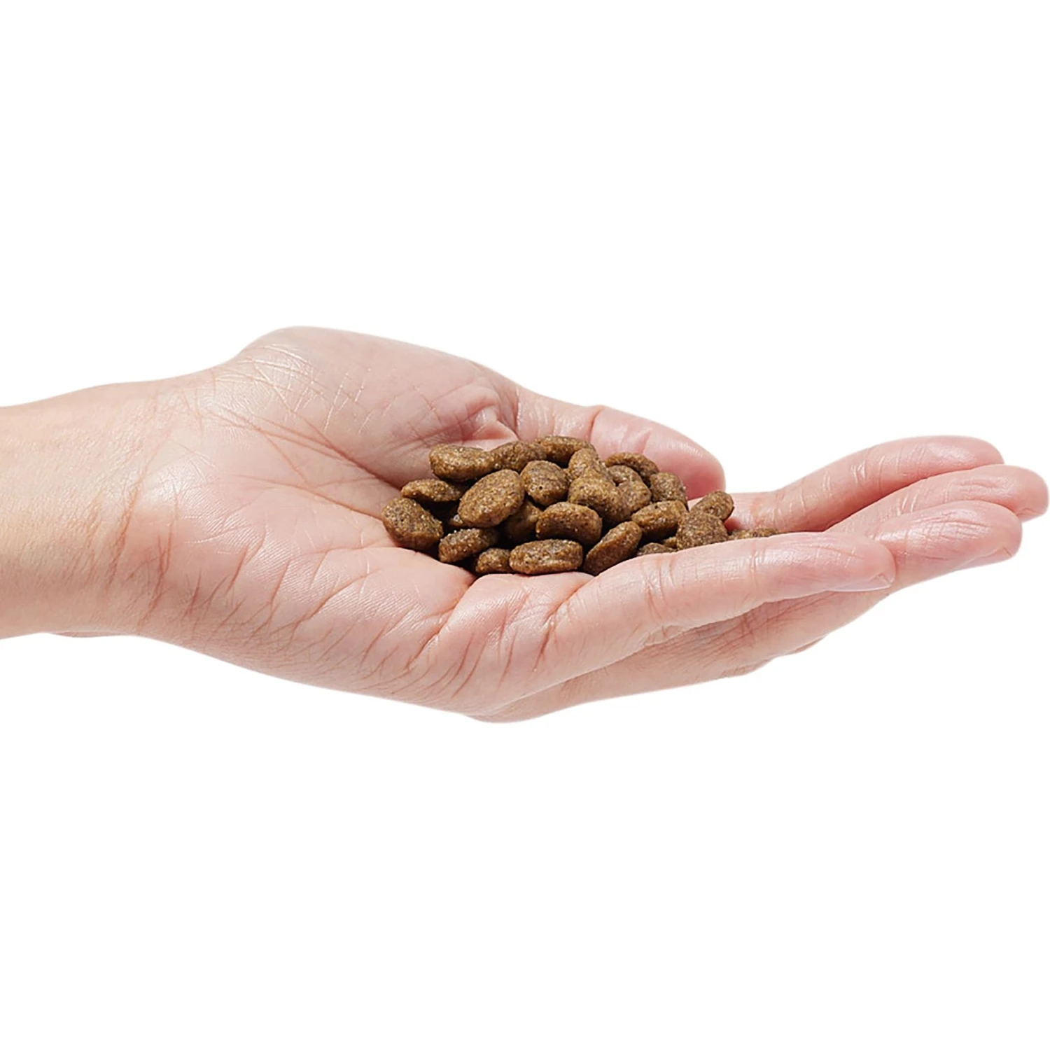 Dr. Pol Healthy Balance Salmon Recipe Grain-Free Dry Dog Food 3 Dr. Pol Healthy Balance Salmon Recipe Grain-Free Dry Dog Food - Image 3