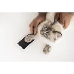 Pearhead Clean-Touch Ink Pad -Pawsphoria Sales Store 233353 PT5. AC SS1800 V1689974292