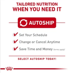 Royal Canin Breed Health Nutrition Pomeranian Adult Loaf In Sauce Canned Dog Food -Pawsphoria Sales Store 234005 PT4. AC SS1800 V1696614257