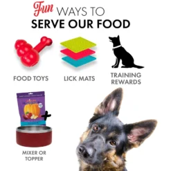 Grandma Lucy's Pumpkin Pouch Digestive Freeze-Dried Dog & Cat Food Topper, 6-oz Bag -Pawsphoria Sales Store 234284 PT5. AC SS1800 V1676648118