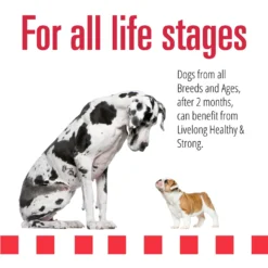Livelong Healthy & Strong Lamb, Beef & Sweet Potato Recipe Wet Dog Food, 12.5-oz Can, Case Of 12 -Pawsphoria Sales Store 235064 PT3. AC SS1800 V1589915475