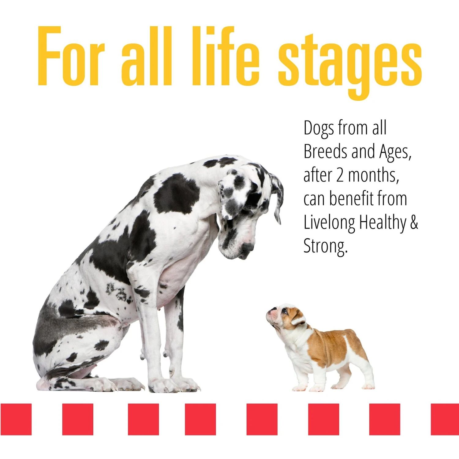 Livelong Healthy & Strong Duck & Sweet Potato Recipe Wet Dog Food, 12.5-oz Can, Case Of 12 4 Livelong Healthy & Strong Duck & Sweet Potato Recipe Wet Dog Food, 12.5-oz Can, Case Of 12 - Image 4