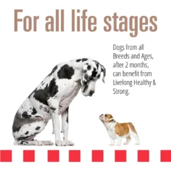 Livelong Healthy & Strong Pork & Sweet Potato Recipe Wet Dog Food, 12.5-oz Can, Case Of 12 -Pawsphoria Sales Store 235072 PT3. AC SS1800 V1589915496