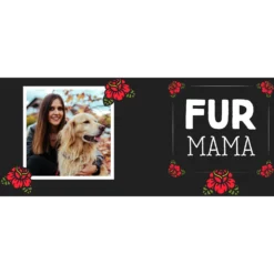 Pawsphoria Sales Store -Pawsphoria Sales Store 236579 PT1. AC SS1800 V1594395068