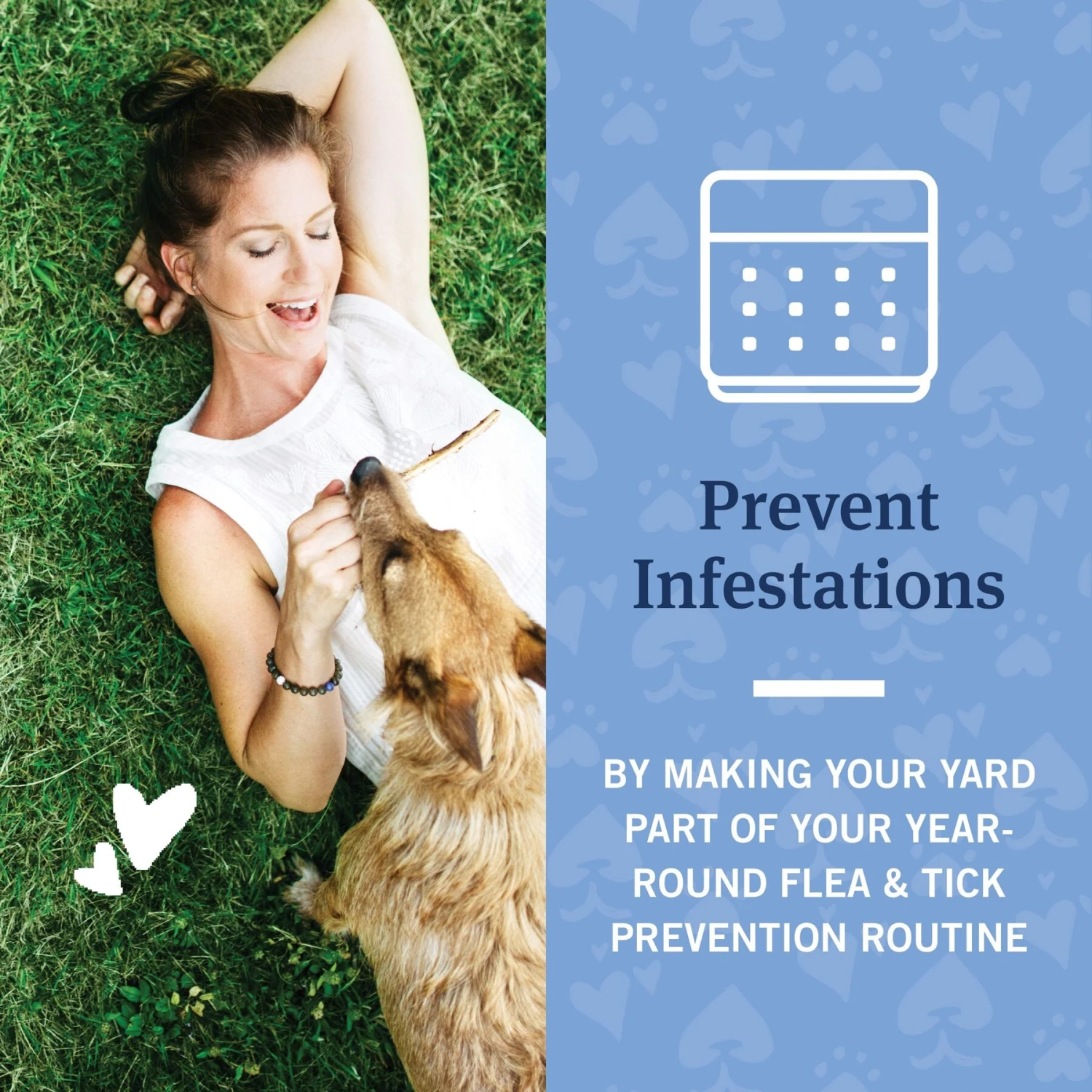 PetArmor Home Yard & Premise Flea & Tick Spray Treatment 5 PetArmor Home Yard & Premise Flea & Tick Spray Treatment - Image 5