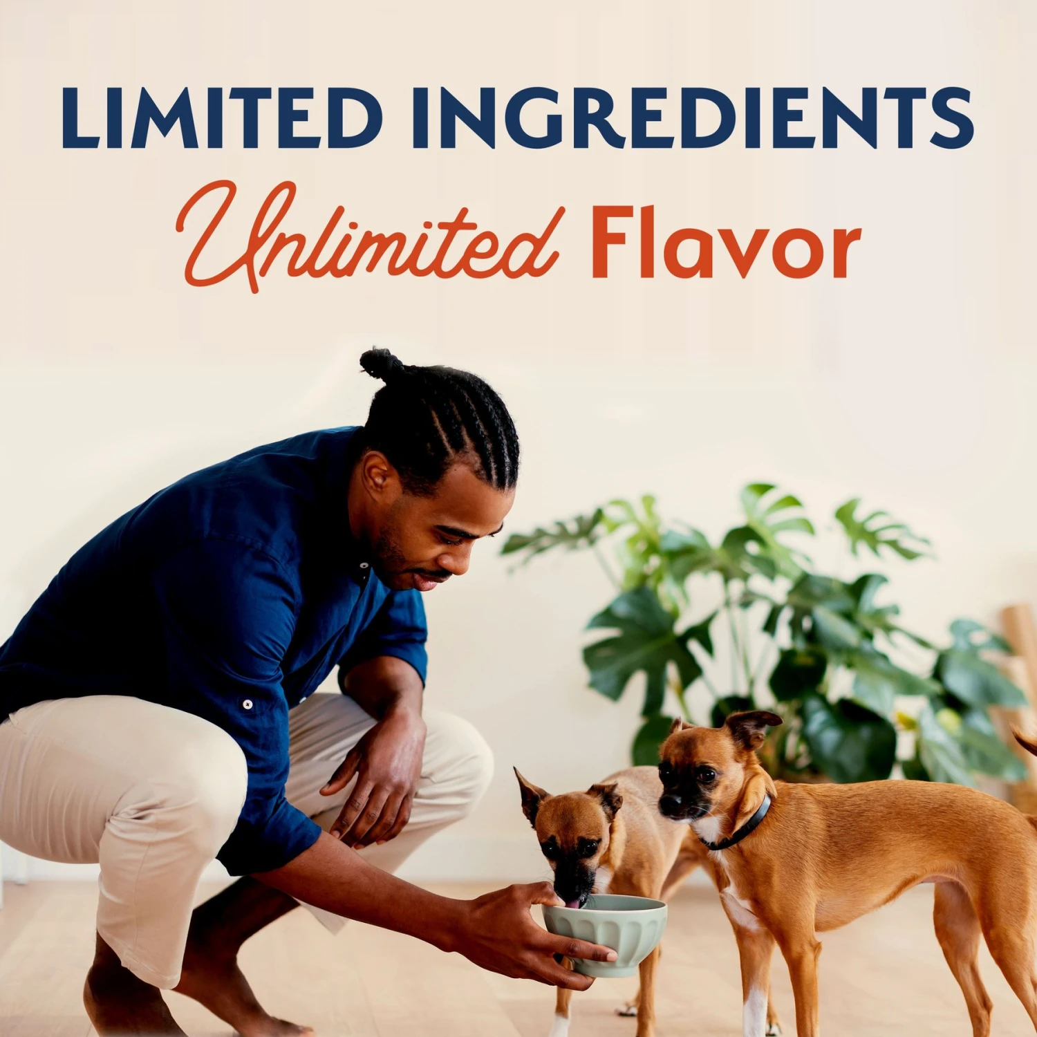 Natural Balance Limited Ingredient Grain-Free Salmon & Sweet Potato Small Breed Bites Recipe Dry Dog Food 4 Natural Balance Limited Ingredient Grain-Free Salmon & Sweet Potato Small Breed Bites Recipe Dry Dog Food - Image 4