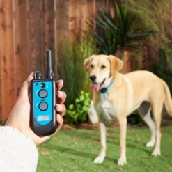 Trainer Dog Collar, Waterproof & Rechargeable With 3/4 Mile Range, 1 Collar 11 Trainer Dog Collar, Waterproof & Rechargeable With 3/4 Mile Range, 1 Collar -Pawsphoria Sales Store 246053 PT4. AC SS1800 V1649479612