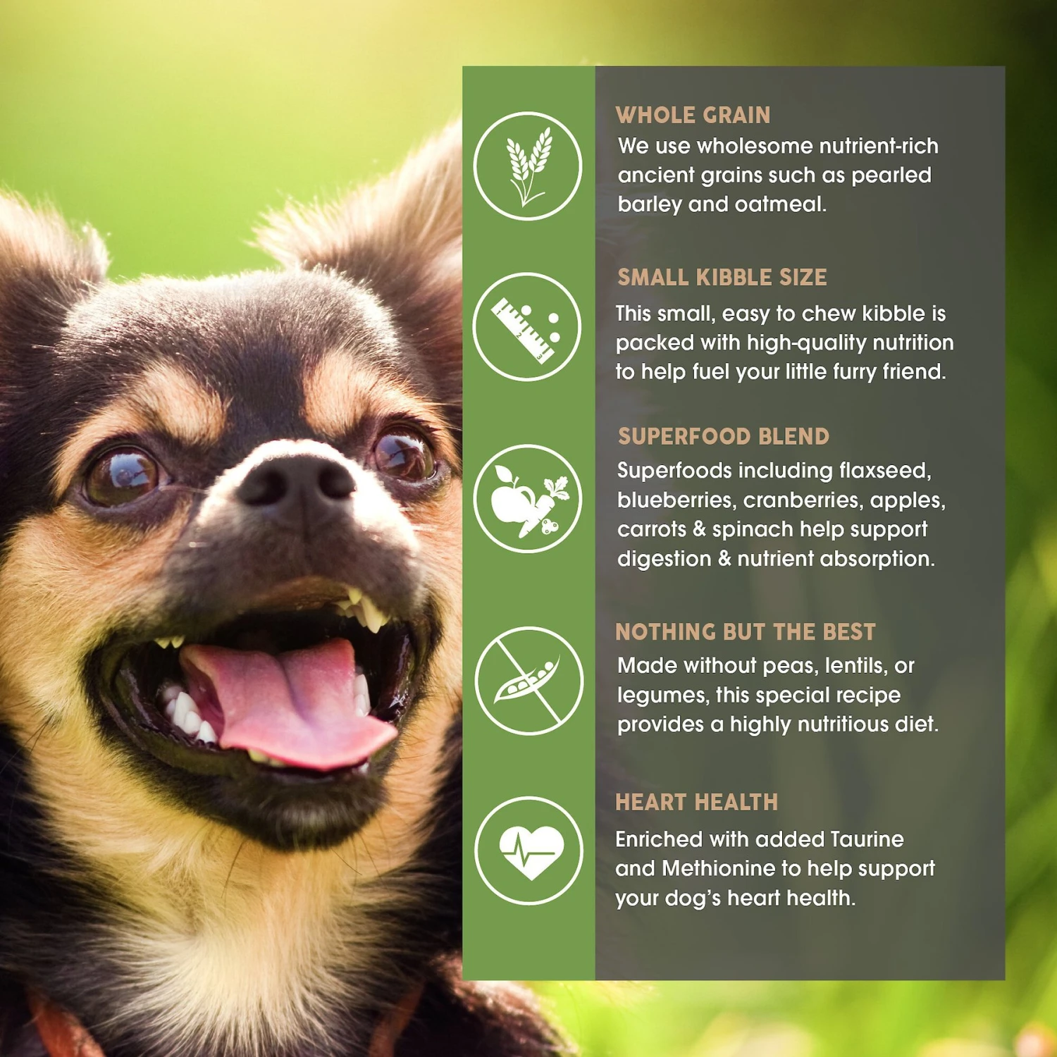 Earthborn Holistic Small Breed Dry Dog Food 5 Earthborn Holistic Small Breed Dry Dog Food - Image 5