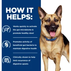 Hill's Prescription Diet Gastrointestinal Biome Chicken Flavor Dry Dog Food 12 Hill's Prescription Diet Gastrointestinal Biome Chicken Flavor Dry Dog Food -Pawsphoria Sales Store 250641 PT3. AC SS1800 V1647293822
