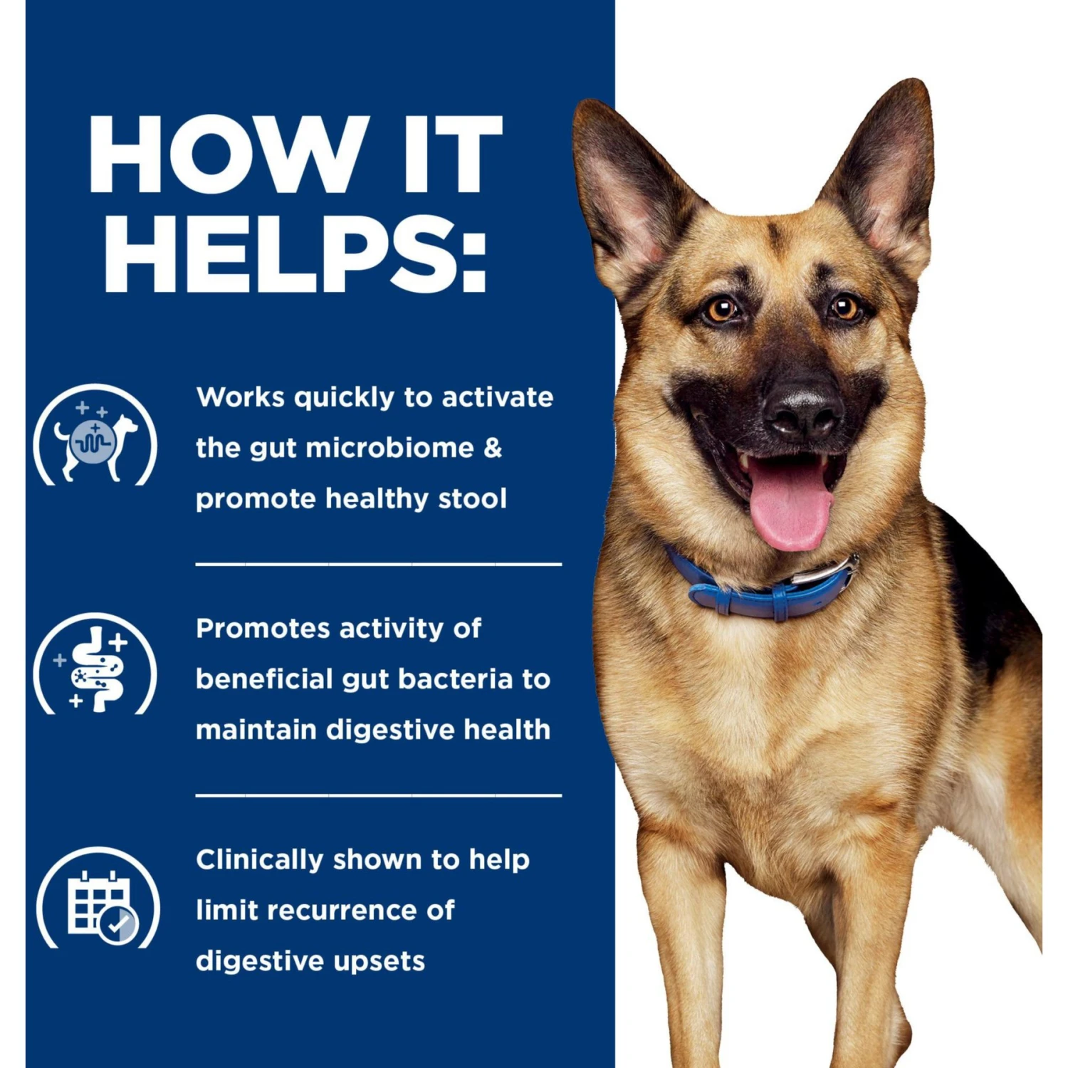 Hill's Prescription Diet Gastrointestinal Biome Chicken Flavor Dry Dog Food 4 Hill's Prescription Diet Gastrointestinal Biome Chicken Flavor Dry Dog Food - Image 4