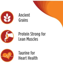 Nulo Frontrunner Ancient Grains Turkey, Trout & Spelt Adult Dry Dog Food -Pawsphoria Sales Store 251422 PT3. AC SS1800 V1667864702