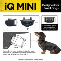 Dogtra IQ MINI Remote Training Dog Collar -Pawsphoria Sales Store 252514 PT6. AC SS1800 V1602537081