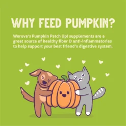 Weruva Pumpkin Patch Up! Pumpkin With Ginger & Turmeric Dog & Cat Wet Food Supplement -Pawsphoria Sales Store 252854 PT5. AC SS1800 V1600397173