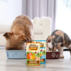 Weruva Pumpkin Patch Up! Pumpkin With Ginger & Turmeric Dog & Cat Wet Food Supplement -Pawsphoria Sales Store 252854 PT6. AC SS1800 V1600394161
