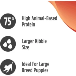 Nulo Freestyle Salmon & Turkey Recipe Large Breed Puppy Grain-Free Dry Dog Food -Pawsphoria Sales Store 252924 PT3. AC SS1800 V1667947827