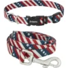 Frisco American Flag Polyester Dog Leash & Frisco American Flag Polyester Dog Collar
