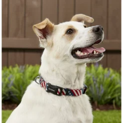 Frisco American Flag Polyester Dog Leash & Frisco American Flag Polyester Dog Collar -Pawsphoria Sales Store 255455 PT4. AC SS1800 V1602706581