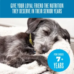 Tiki Dog Aloha Petites Senior Mousse Chicken, Beef & Pumpkin In Broth Grain-Free Wet Dog Food 16 Tiki Dog Aloha Petites Senior Mousse Chicken, Beef & Pumpkin In Broth Grain-Free Wet Dog Food -Pawsphoria Sales Store 259160 PT7. AC SS1800 V1631197321