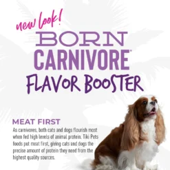 Tiki Dog Born Carnivore Flavor Booster Lamb Bisque Non-GMO Wet Dog Food Topper -Pawsphoria Sales Store 259162 PT6. AC SS1800 V1701796147