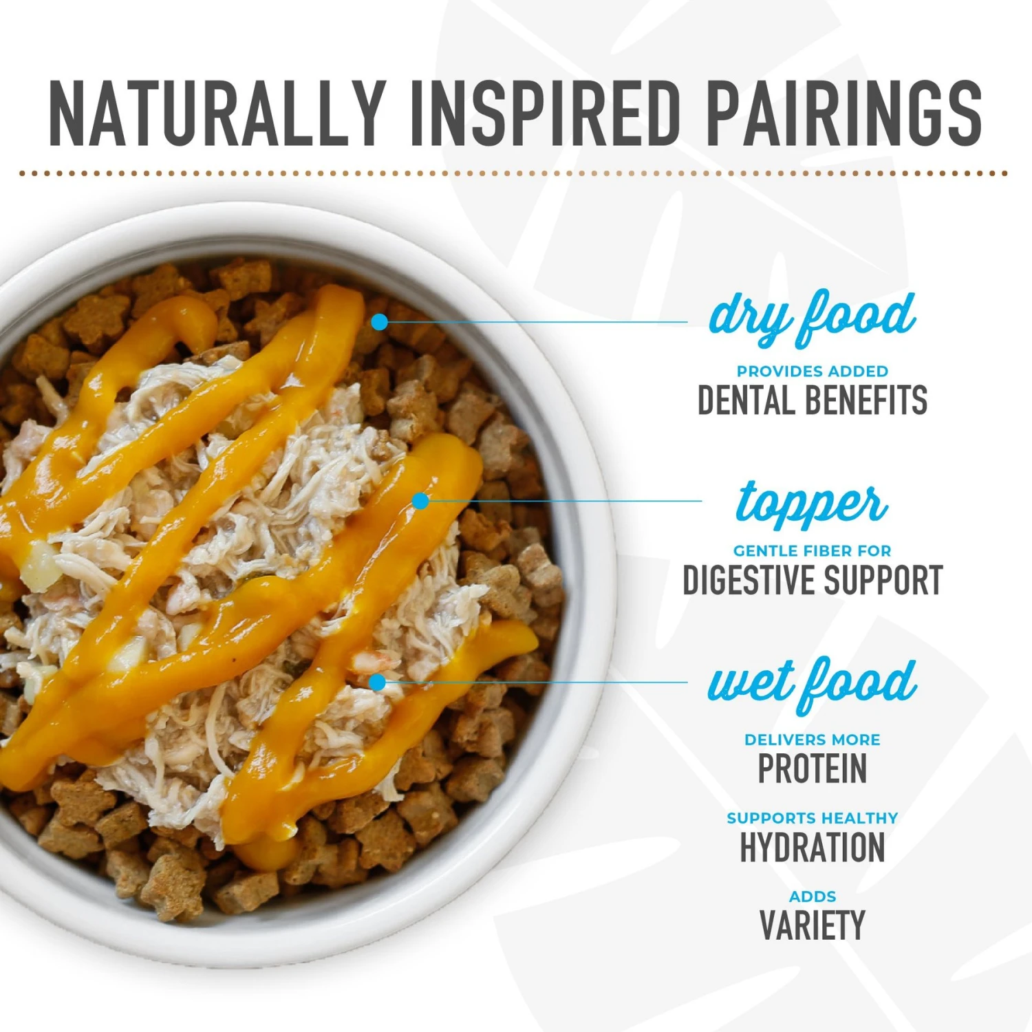 Tiki Dog Born Carnivore Flavor Booster Duck Bisque Non-GMO Wet Dog Food Topper 9 Tiki Dog Born Carnivore Flavor Booster Duck Bisque Non-GMO Wet Dog Food Topper - Image 9