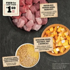 ACANA Wholesome Grains Red Meat Recipe Dry Dog Food -Pawsphoria Sales Store 259580 PT3. AC SS1800 V1696260851