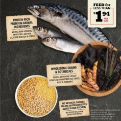 ACANA Sea To Stream Recipe + Wholesome Grains Dry Dog Food -Pawsphoria Sales Store 259583 PT3. AC SS1800 V1696263931