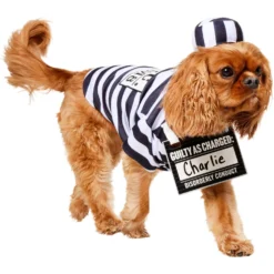 Frisco Prisoner Dog & Cat Costume