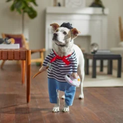 Frisco Front Walking French Artist Dog & Cat Costume -Pawsphoria Sales Store 260956 PT8. AC SS1800 V1689623916