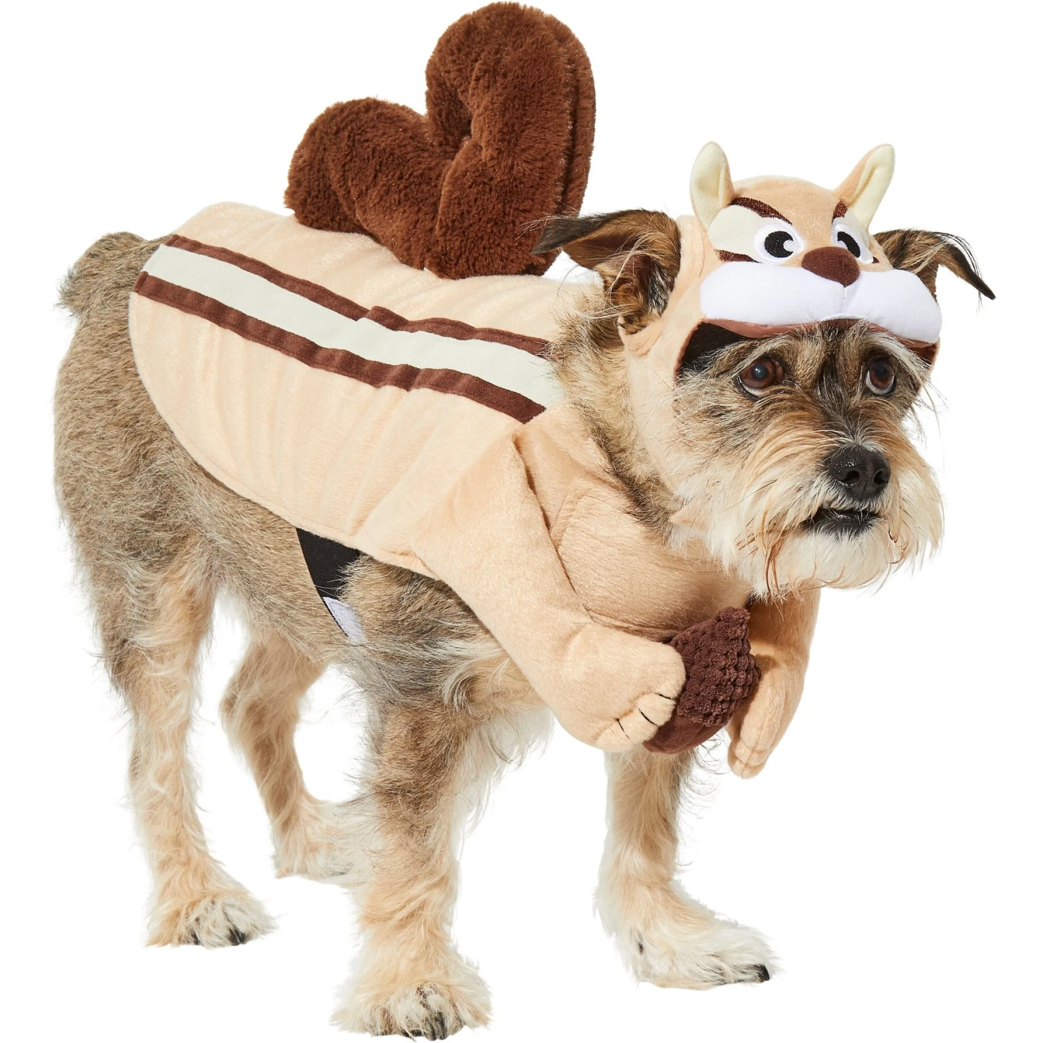Frisco Chipmunk Dog & Cat Costume 1 Frisco Chipmunk Dog & Cat Costume