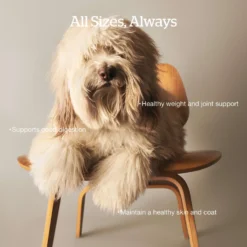 Now Fresh Grain-Free Adult Recipe Dry Dog Food -Pawsphoria Sales Store 261224 PT2. AC SS1800 V1637790463