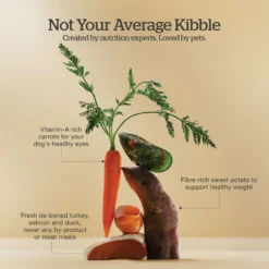 Now Fresh Grain-Free Adult Recipe Dry Dog Food -Pawsphoria Sales Store 261224 PT3. AC SS1800 V1637794034