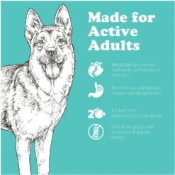 Now Fresh Grain-Free Large Breed Adult Recipe Dry Dog Food -Pawsphoria Sales Store 261231 PT2. AC SS1800 V1637791699