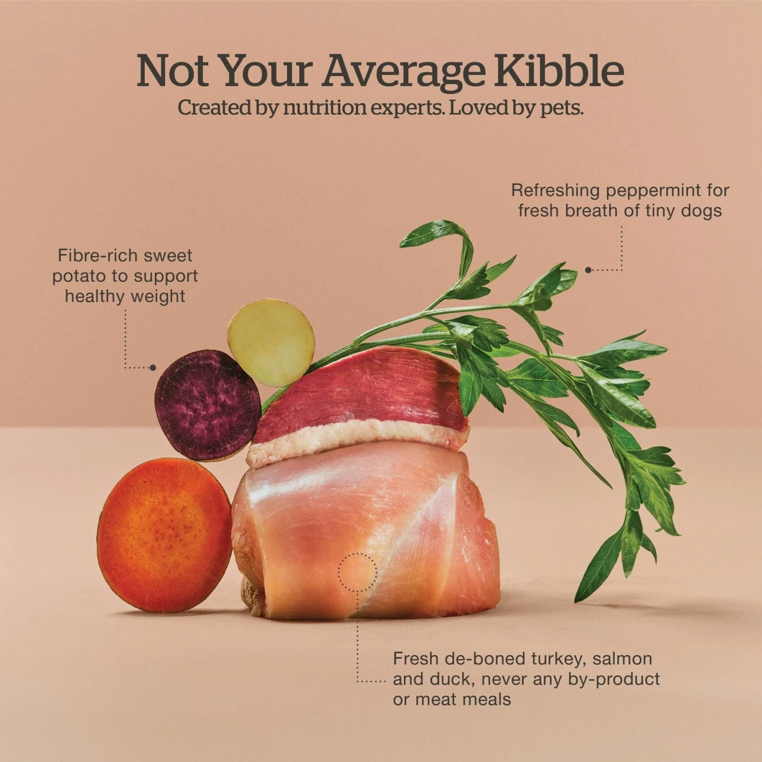 Now Fresh Grain-Free Small Breed Adult Recipe Dry Dog Food 4 Now Fresh Grain-Free Small Breed Adult Recipe Dry Dog Food - Image 4