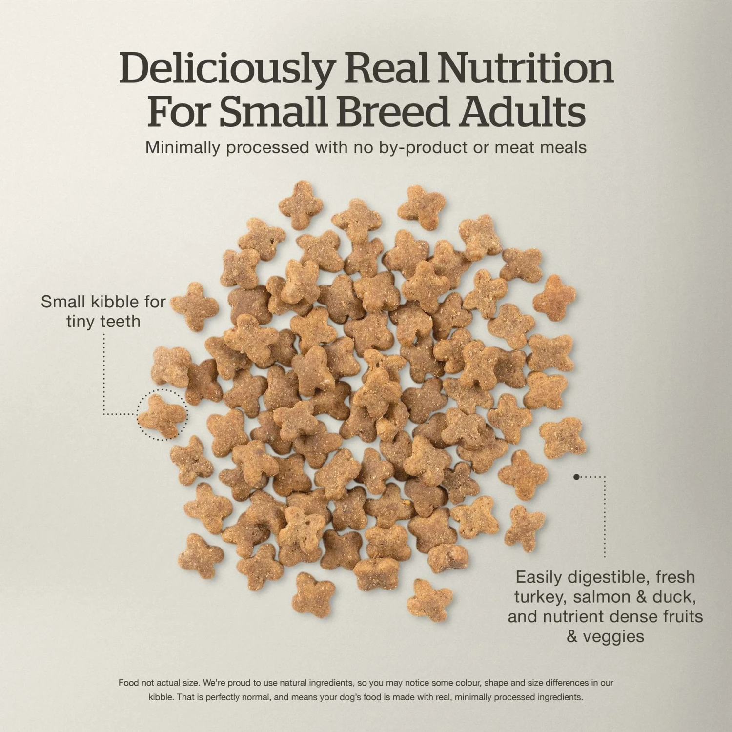 Now Fresh Grain-Free Small Breed Adult Recipe Dry Dog Food 5 Now Fresh Grain-Free Small Breed Adult Recipe Dry Dog Food - Image 5