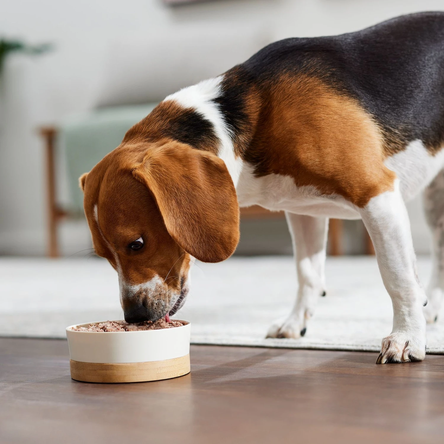 Evanger's Chicken & Rice Dinner Gluten-Free Wet Dog Food, 20.2-oz Can, Case Of 12 5 Evanger's Chicken & Rice Dinner Gluten-Free Wet Dog Food, 20.2-oz Can, Case Of 12 - Image 5