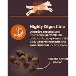 Wellness CORE Digestive Health Wholesome Grains Chicken & Brown Rice Recipe Dry Dog Food 12 Wellness CORE Digestive Health Wholesome Grains Chicken & Brown Rice Recipe Dry Dog Food -Pawsphoria Sales Store 264874 PT3. AC SS1800 V1608677570